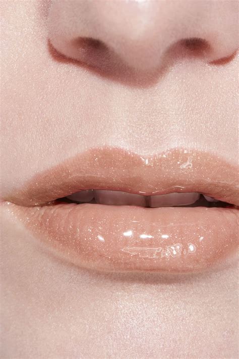 chanel 496|chanel moisturizing gloss 712.